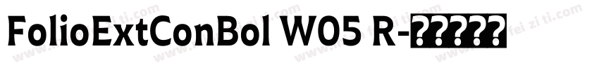 FolioExtConBol W05 R字体转换